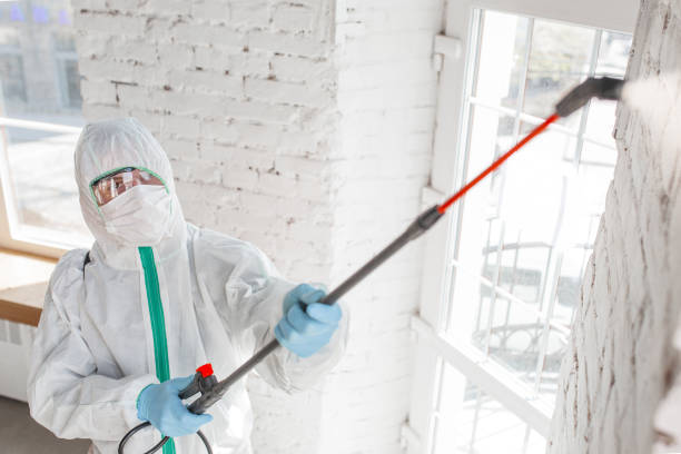 Best Mold-Related Health Consultation  in San Carlos, AZ