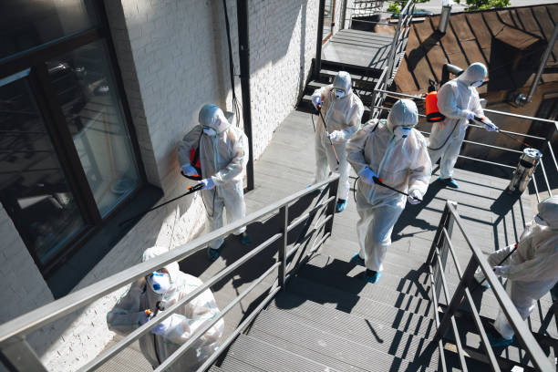 Professional Mold Removal in San Carlos, AZ