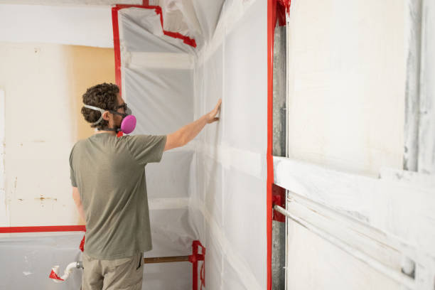 Best Air Quality Testing for Mold Spores  in San Carlos, AZ
