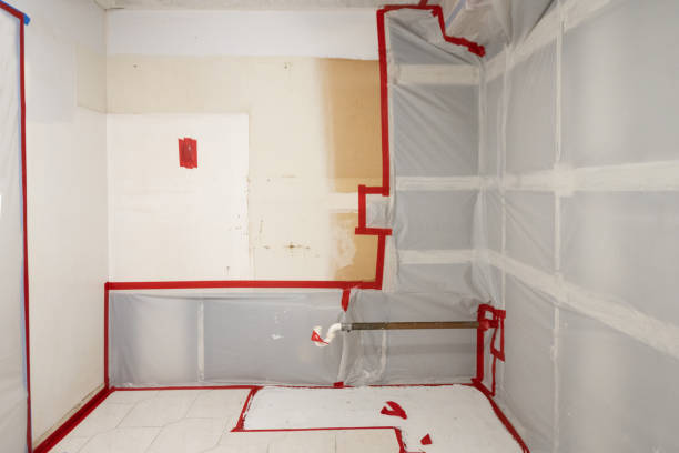 Best Residential Mold Inspection & Testing  in San Carlos, AZ