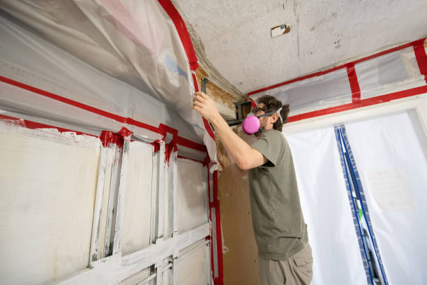 Best Biohazard Mold Removal  in San Carlos, AZ