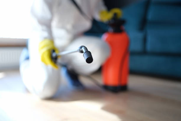 Best Mold Removal for HVAC Installations  in San Carlos, AZ
