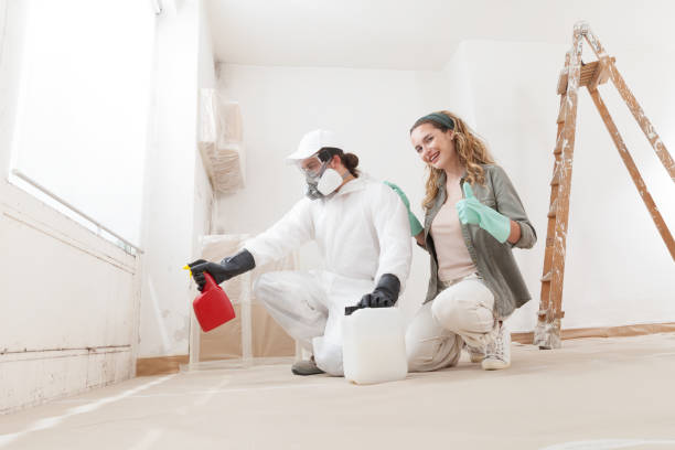 Best Water Damage & Mold Remediation  in San Carlos, AZ