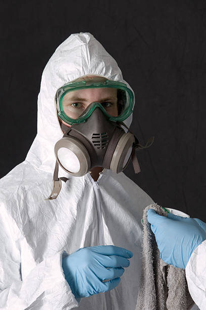 Best Basement Mold Removal  in San Carlos, AZ
